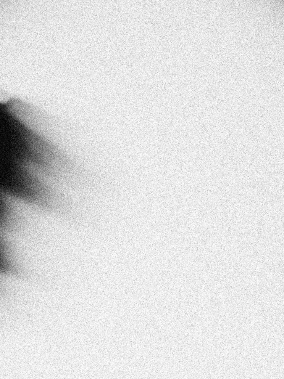 About Love — photograph 4