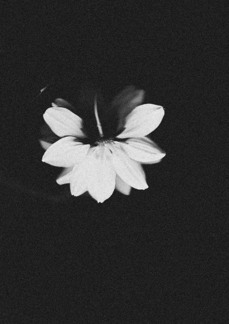 About Love — photograph 15