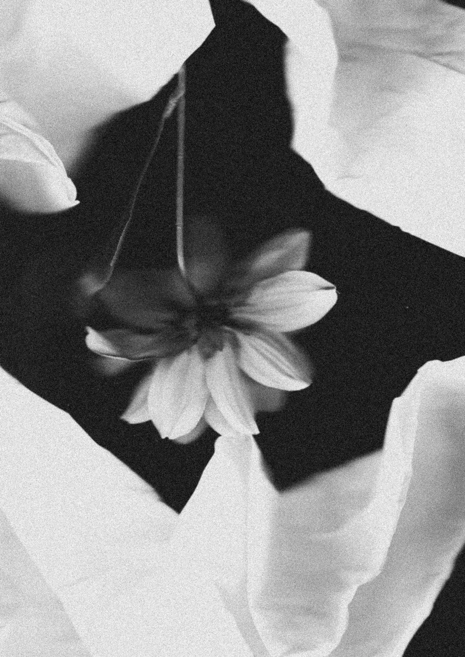 About Love — photograph 7