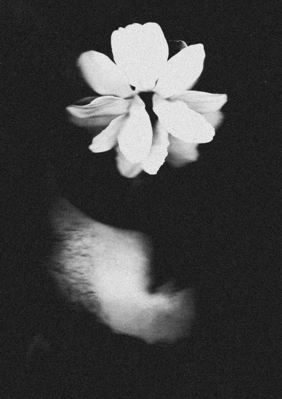 About Love — photograph 11