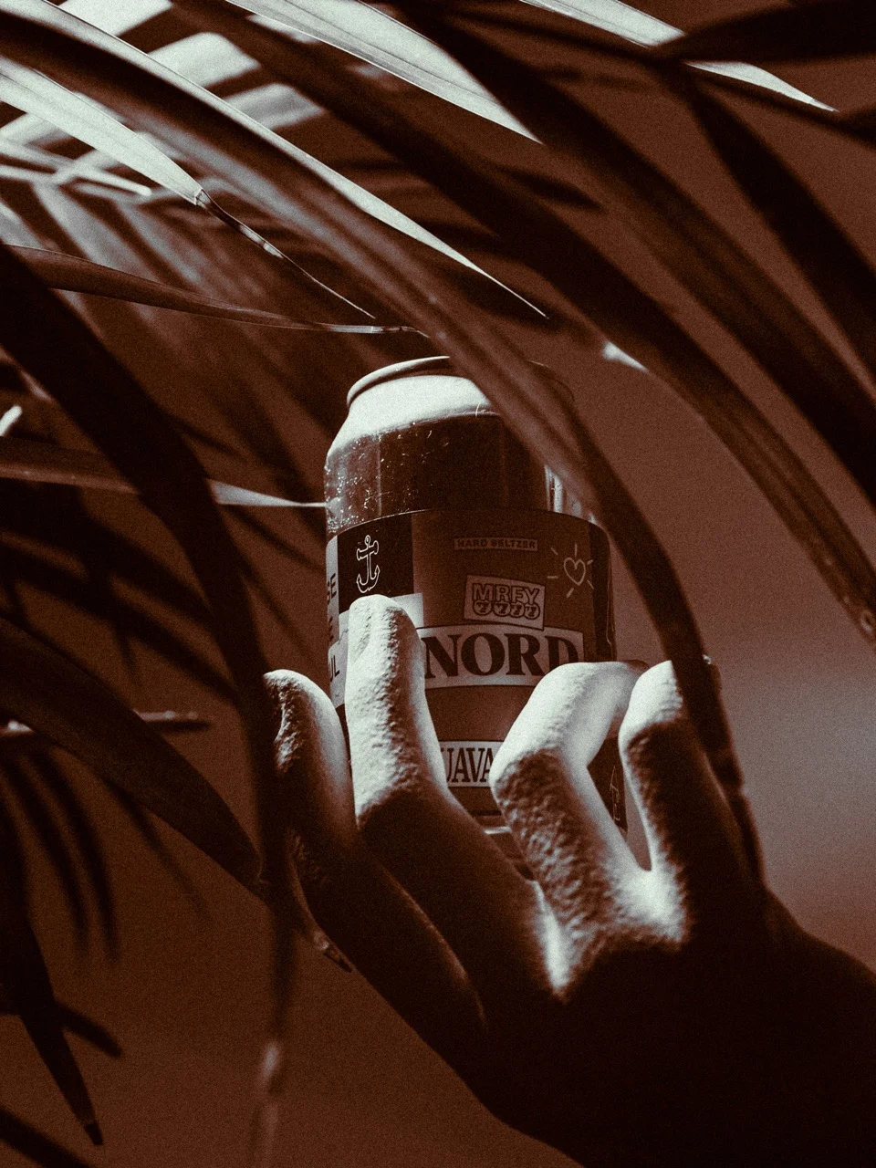 NOR(E)D — photograph 3