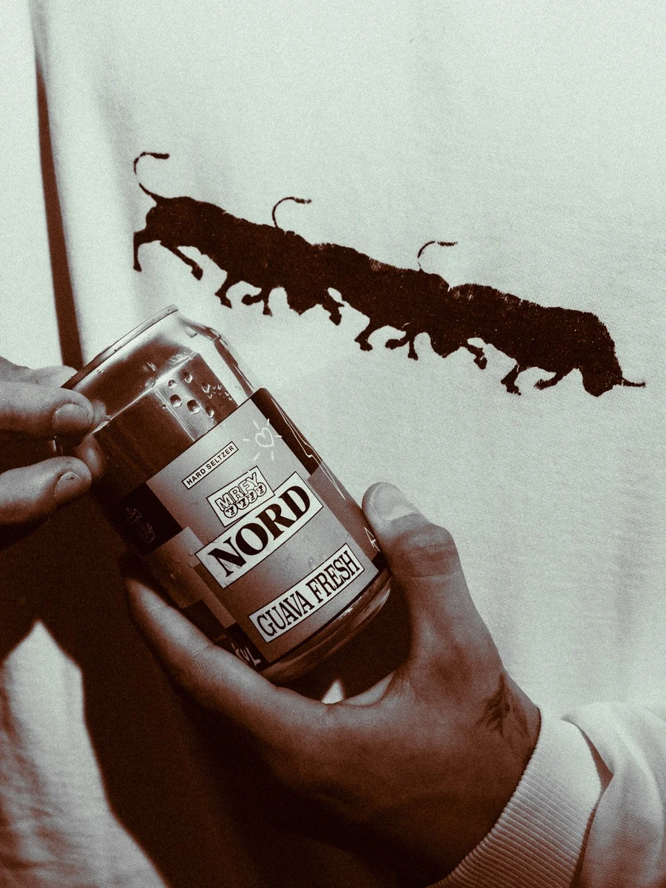 NOR(E)D — photograph 8